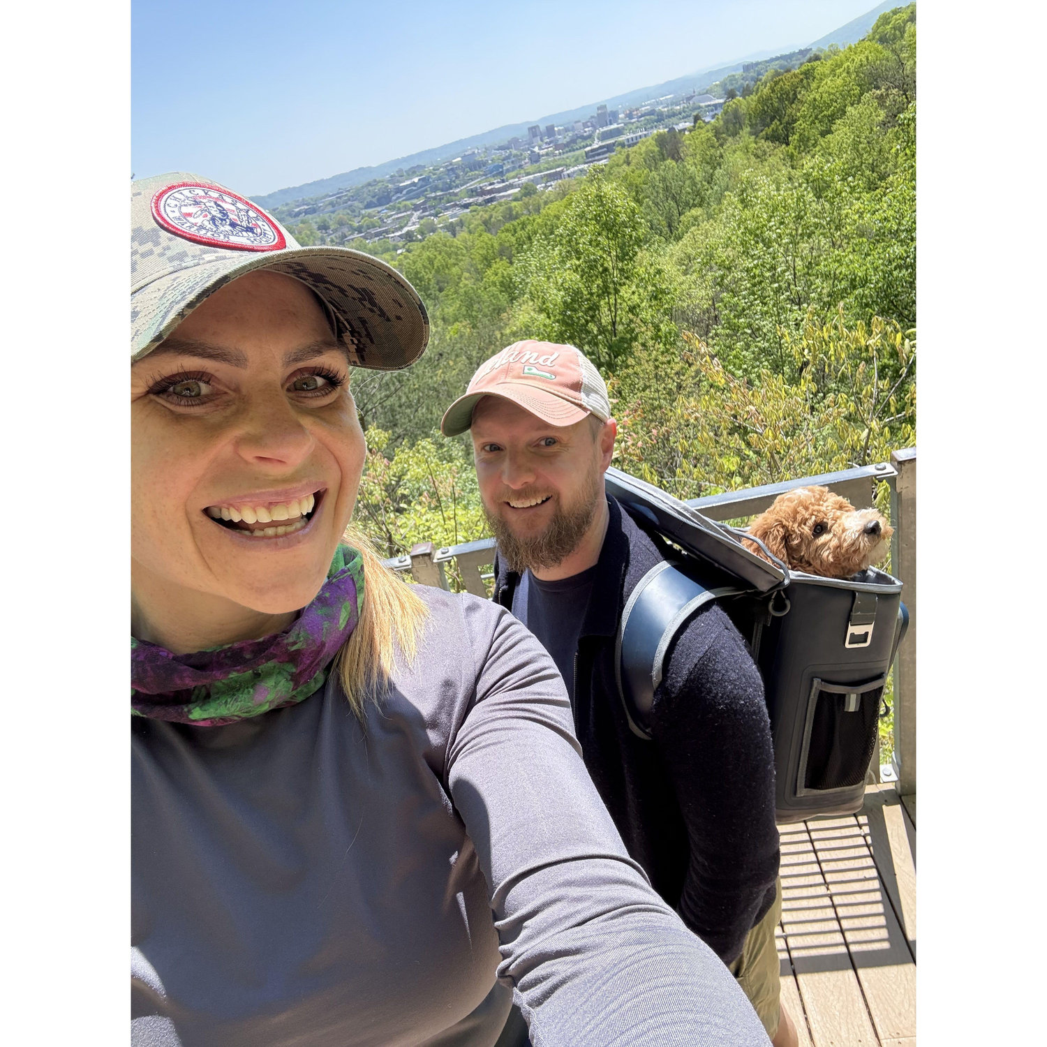 Slinger’s Ridge hike a few minutes from our home in Chattanooga with Pivot in a cooler bag