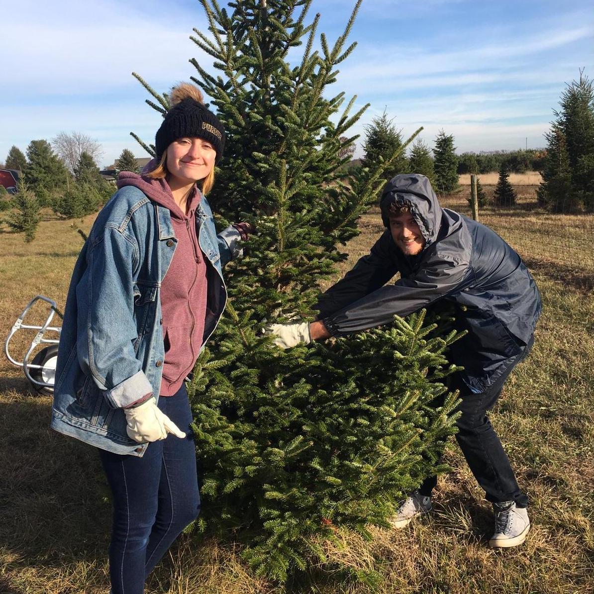 Our first real Christmas tree