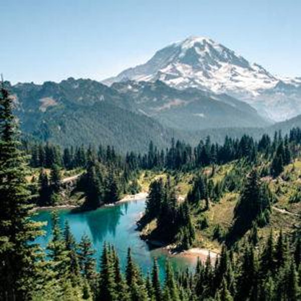 Honeymoon Flights, Hotels, & Rental Car