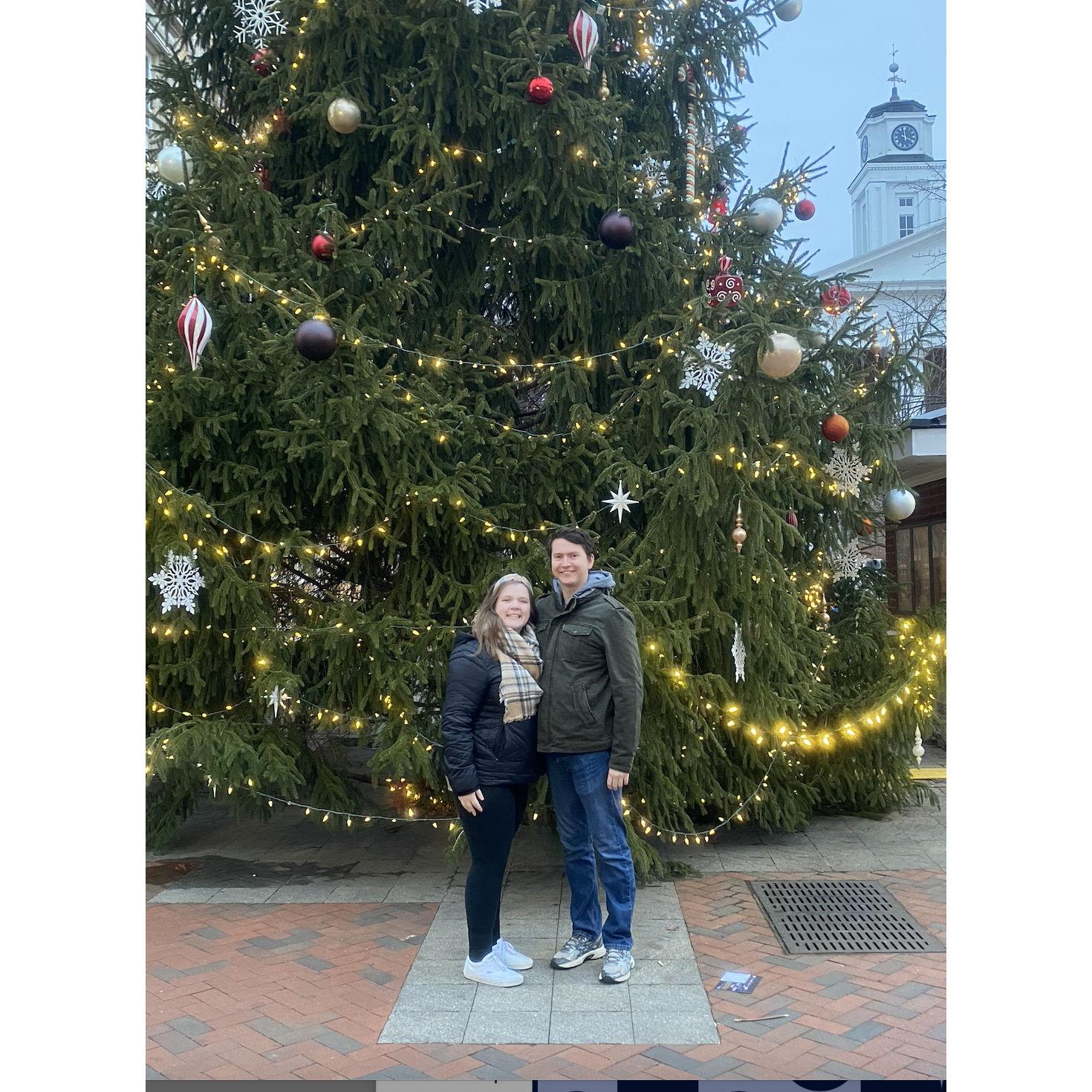The big famous Christmas tree at the Winchester Mall!