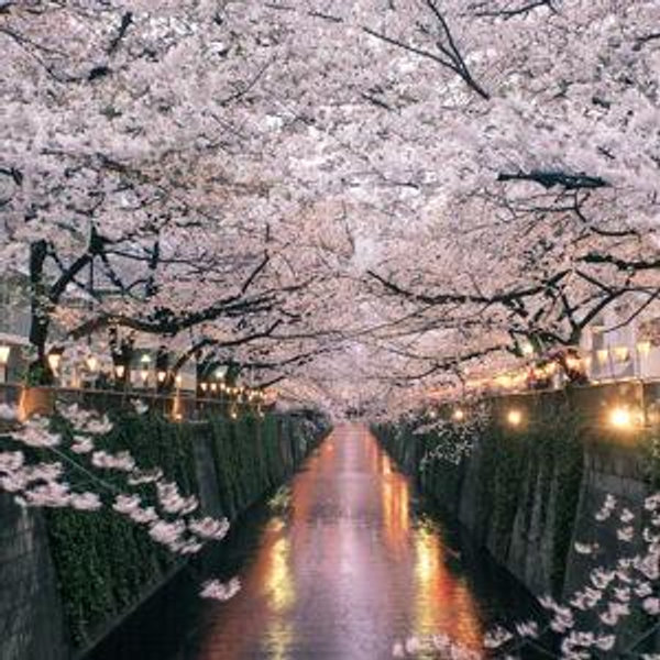Japan 2027