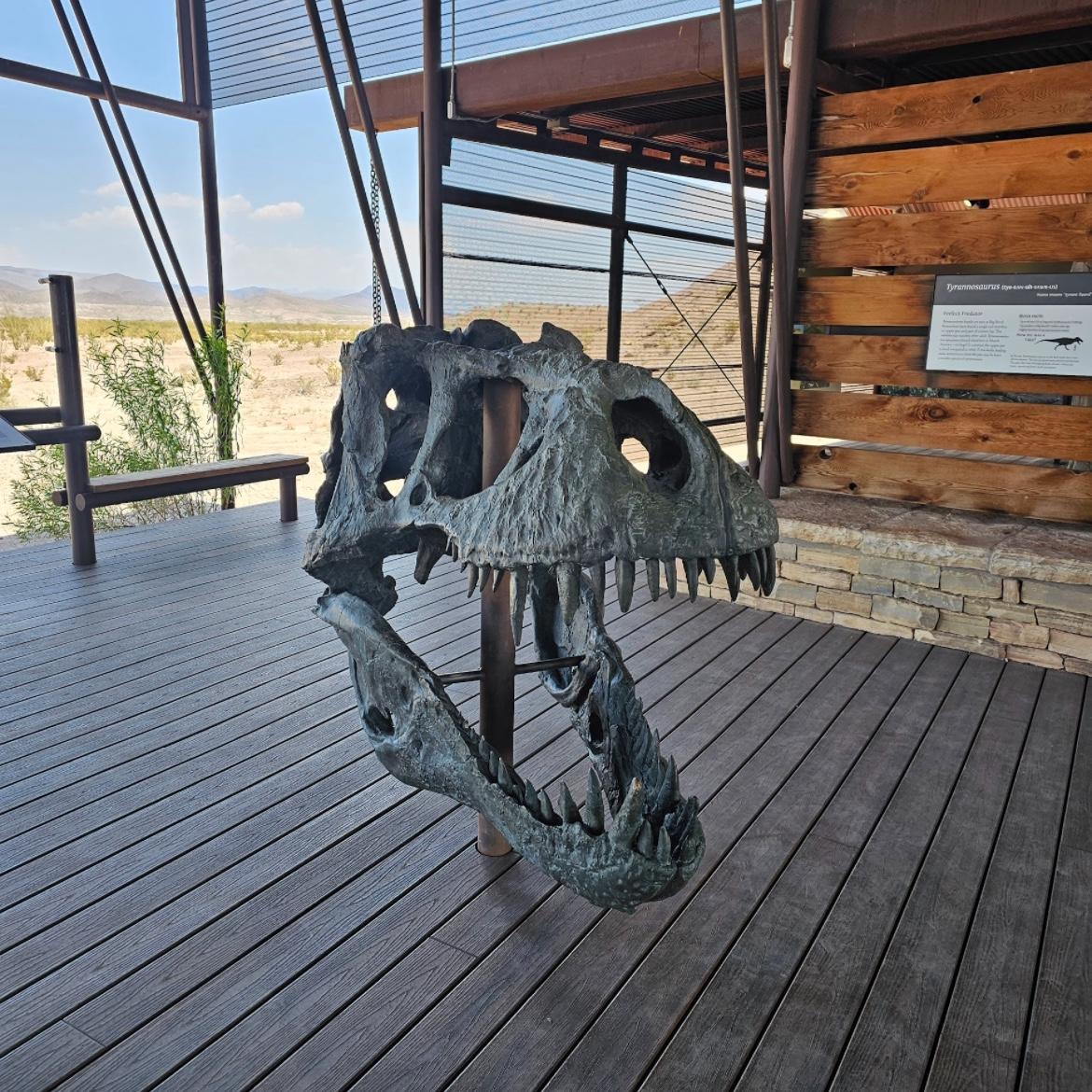 Big Bend National Park (June 2023)