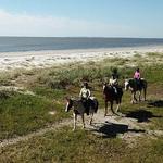 Horseback Riding