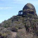 Piedra De La Tortuga