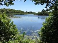 Trustom Pond