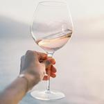 WaterFire Vineyards - Torch Lake Winery