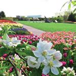 Arboretum