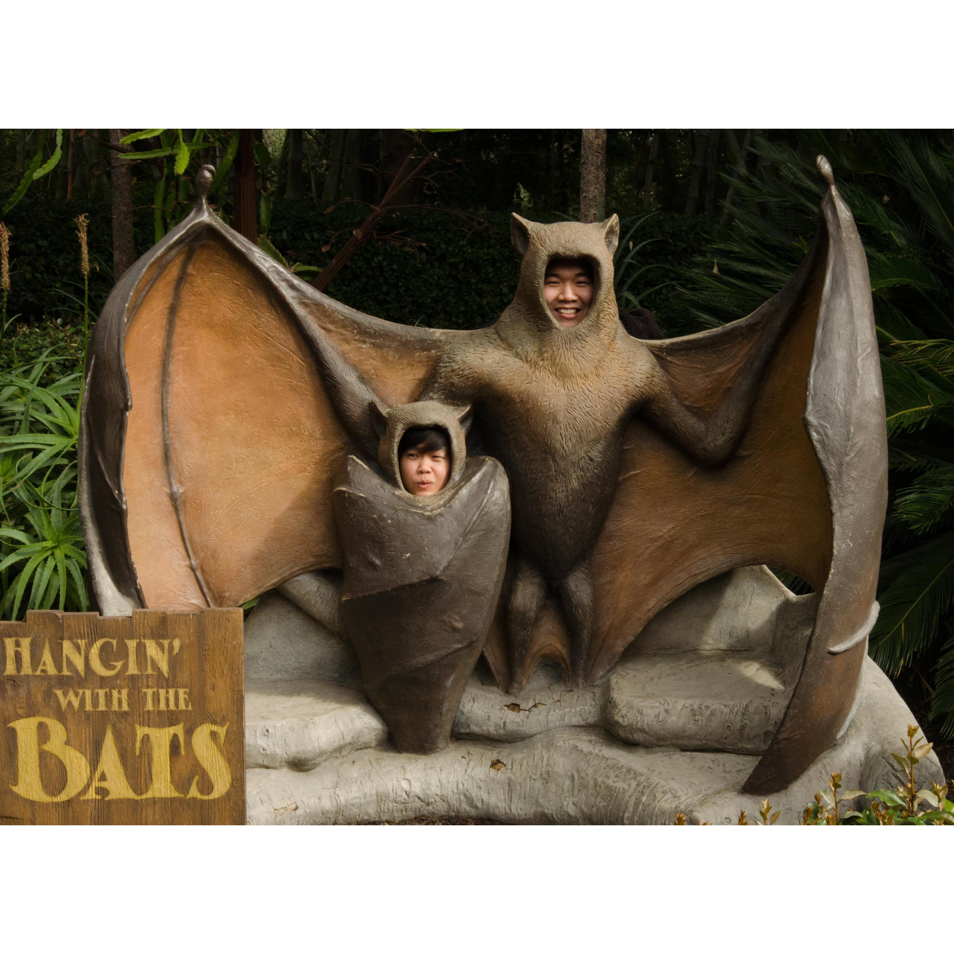 Visiting the San Diego Zoo. We BATcray for each other.