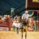 Jackson Hole Rodeo