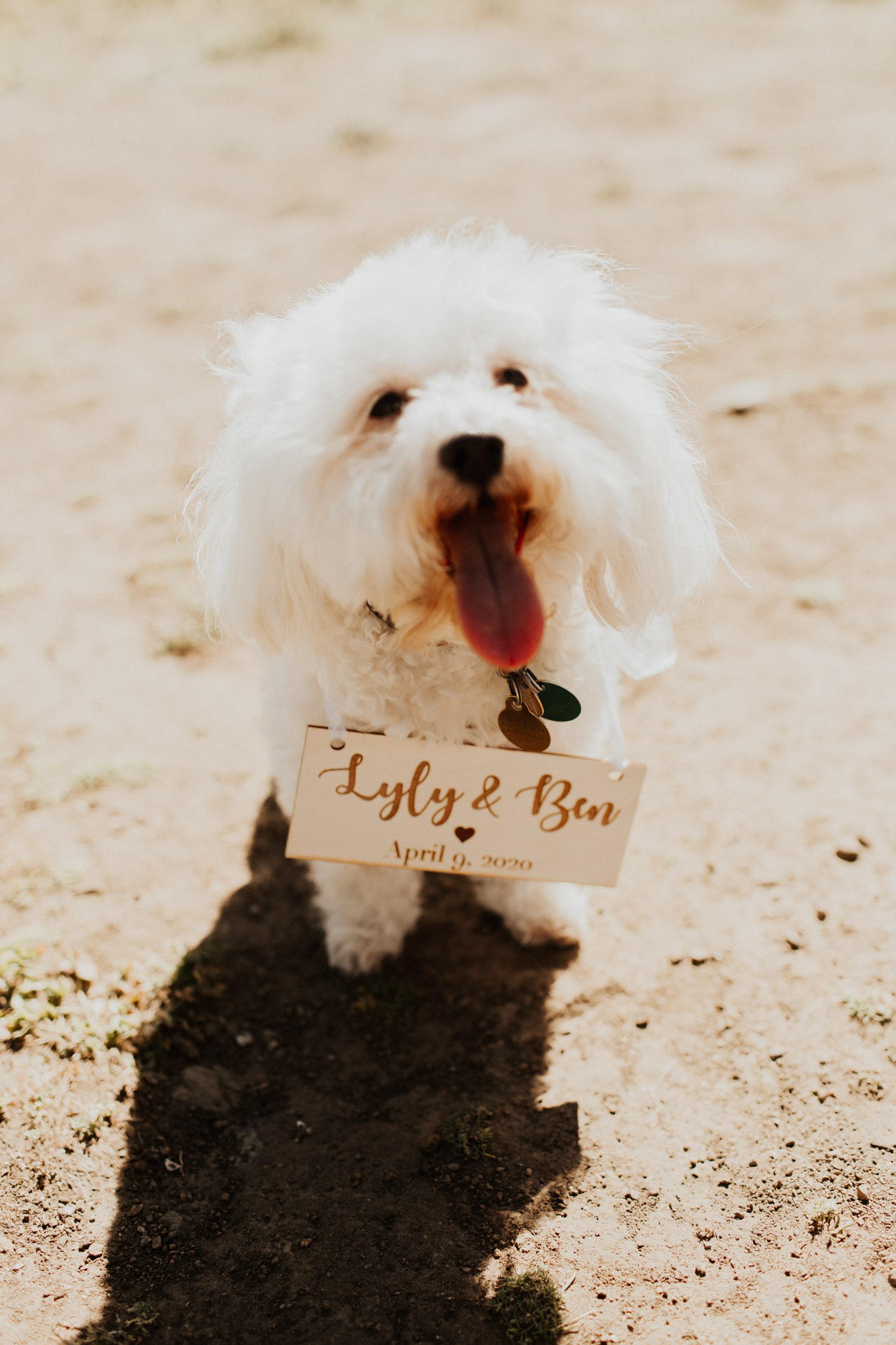 The Wedding Website of Lyly Pham and Benjamin Loo