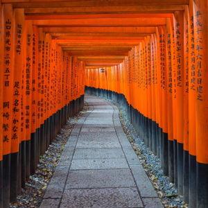 Kyoto Sightseeing Tour for 2