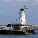 Captain Mike's Dolphin Adventure