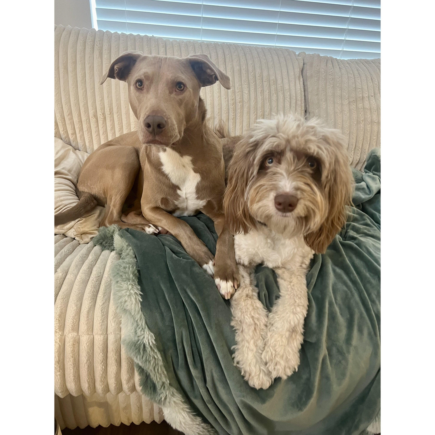 BFFs