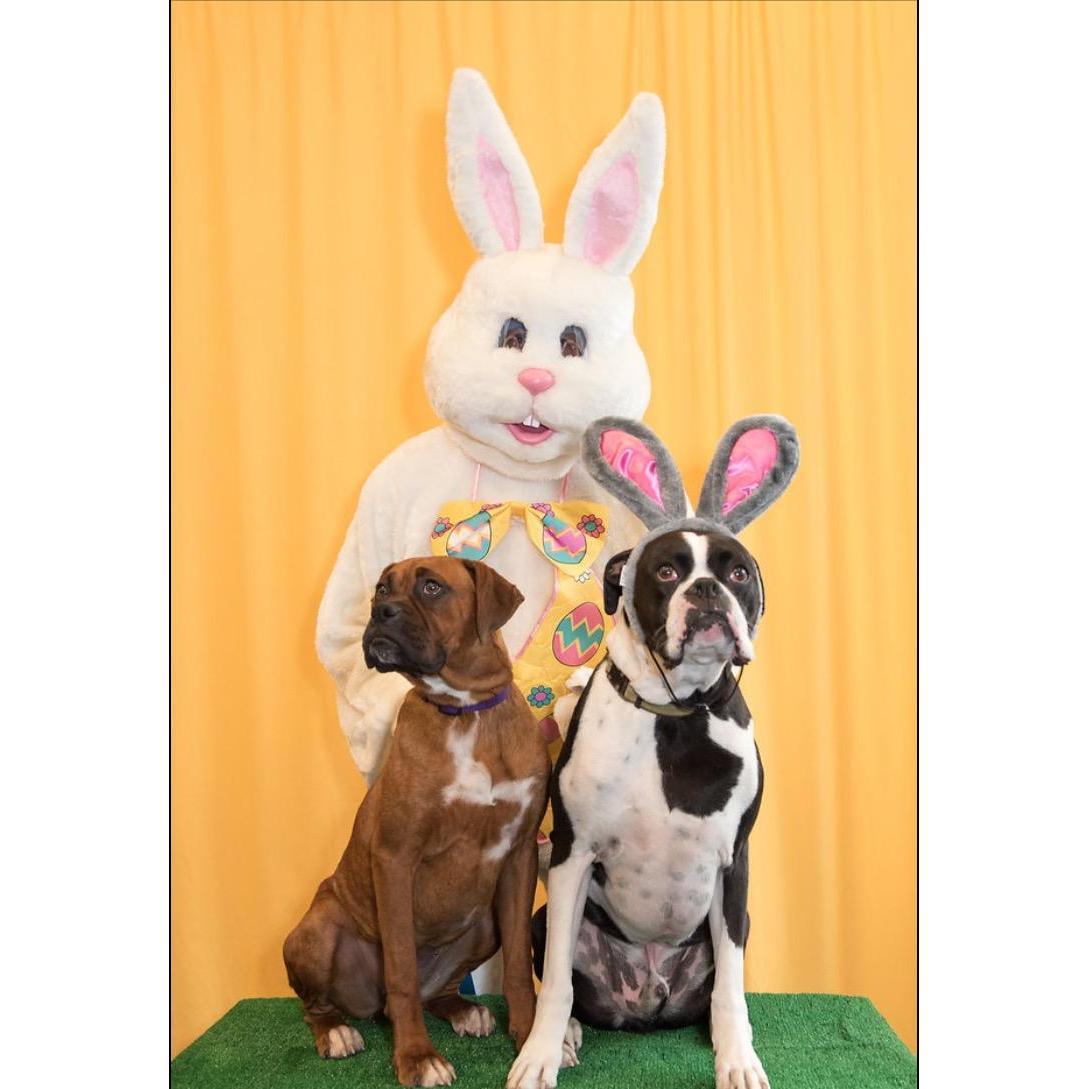 Their first Easter Photo!