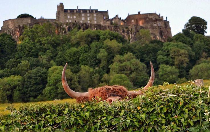 12e1aea2-c847-47be-835a-73cd89646fa1