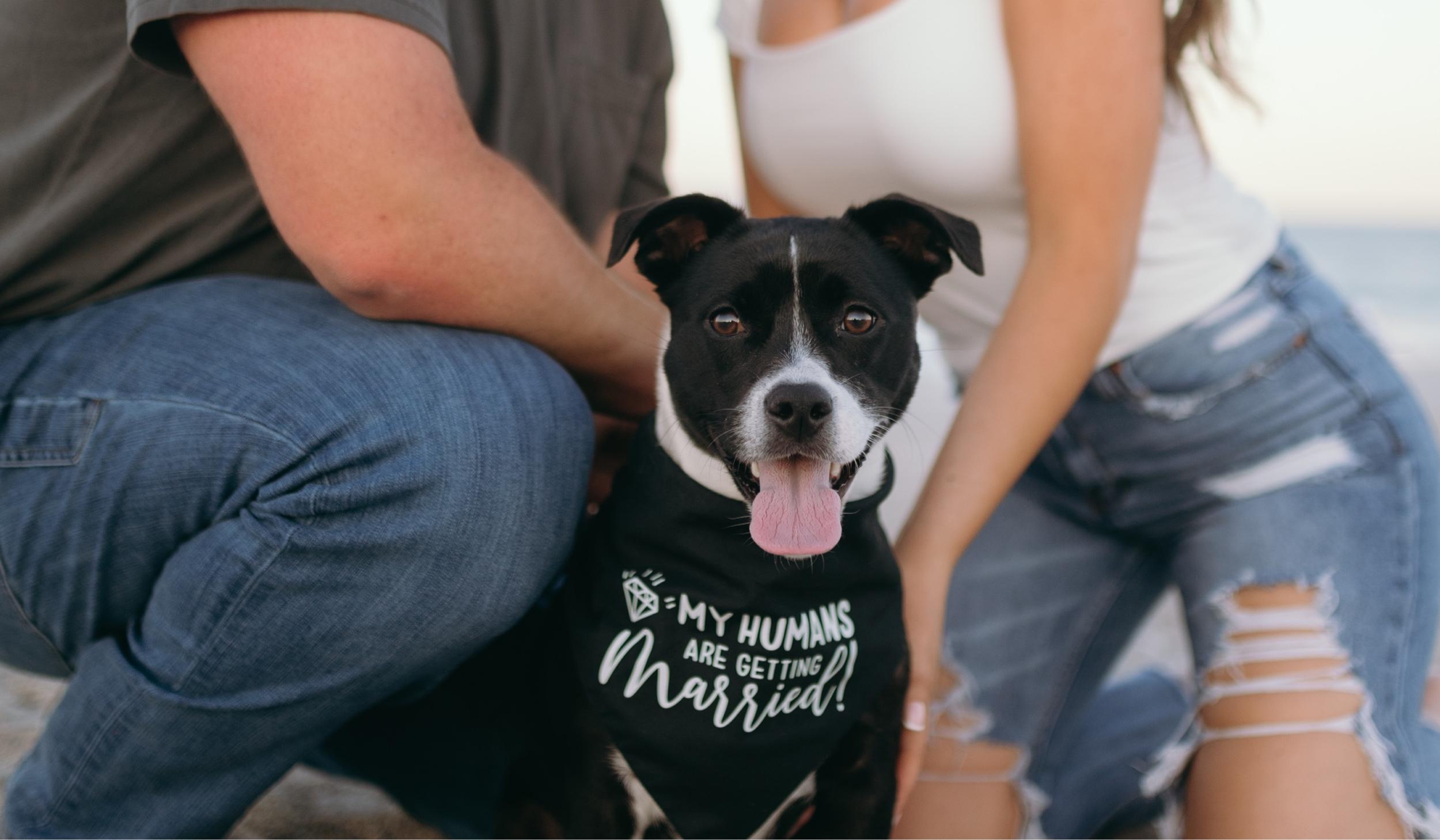 Hero Slideshow Image 0