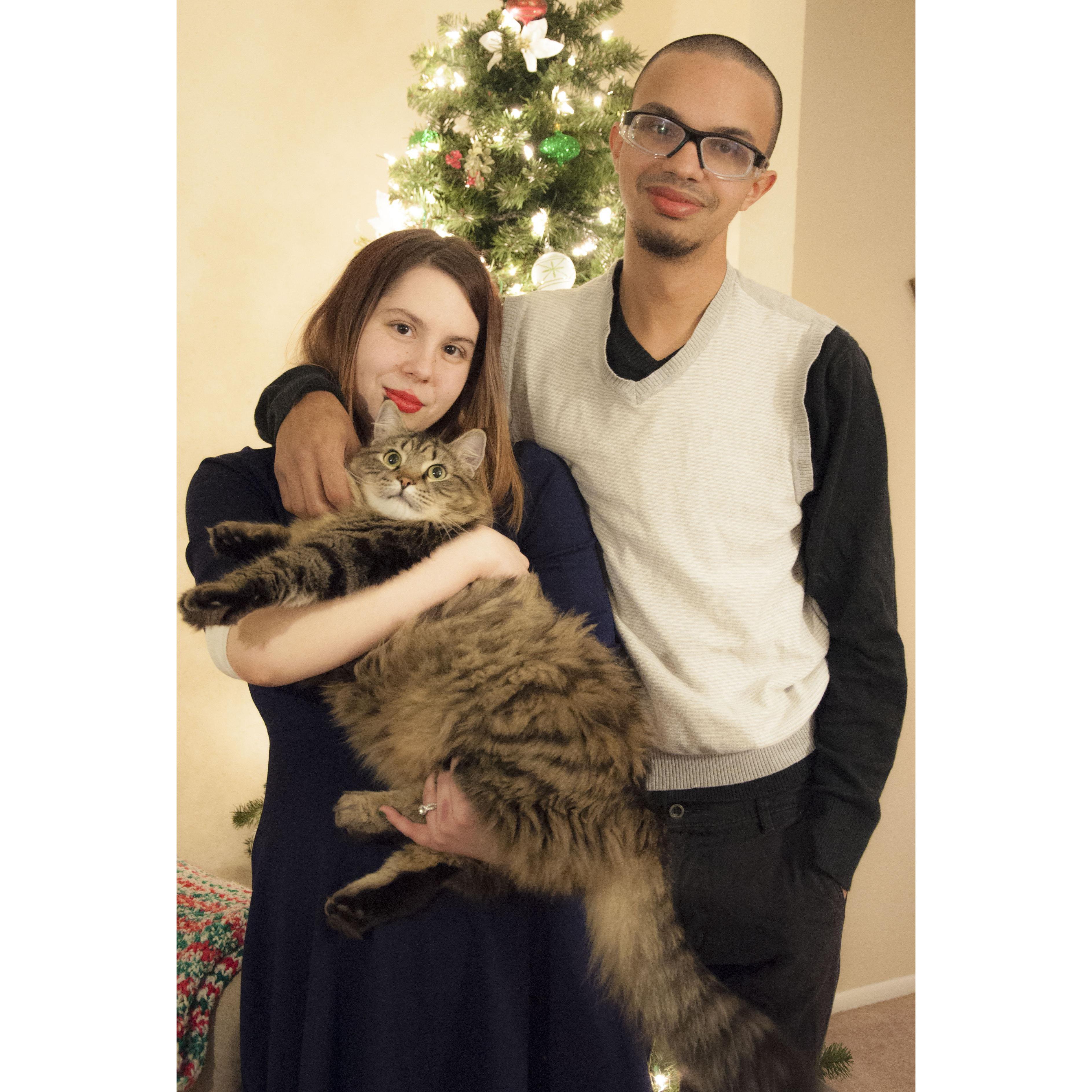 Our fat baby Adobe looks like a renaissance painting cat