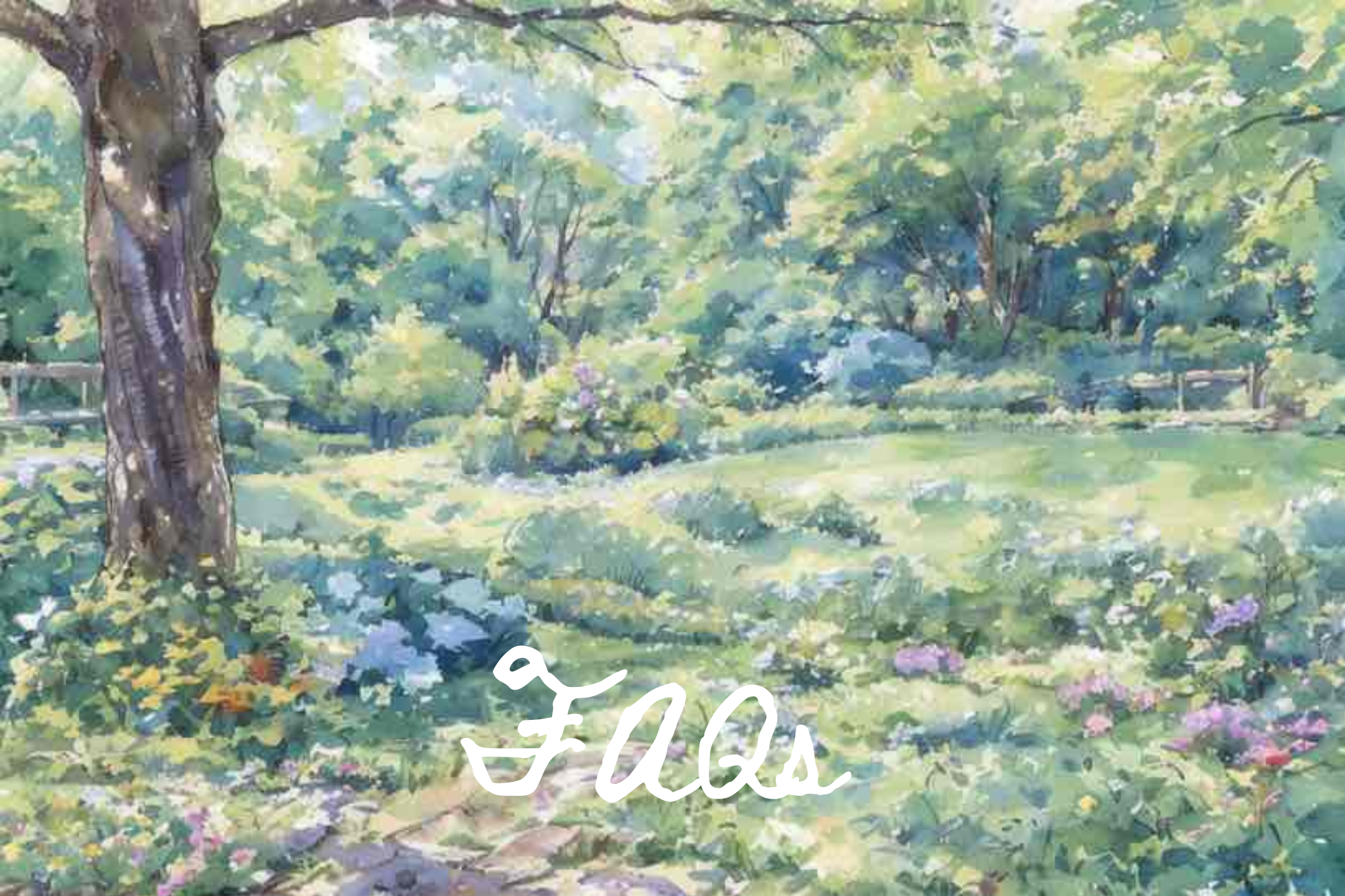 The Wedding Website of Vivian Spencer and William Ray Davis