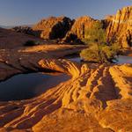 Snow Canyon State Park