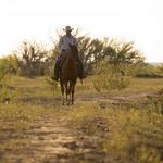 Wildcatter Ranch