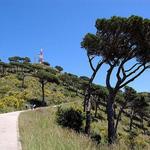 Carretera de les Aigües