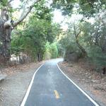 Bob Jones Trail Head
