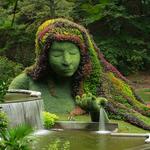 Atlanta Botanical Garden
