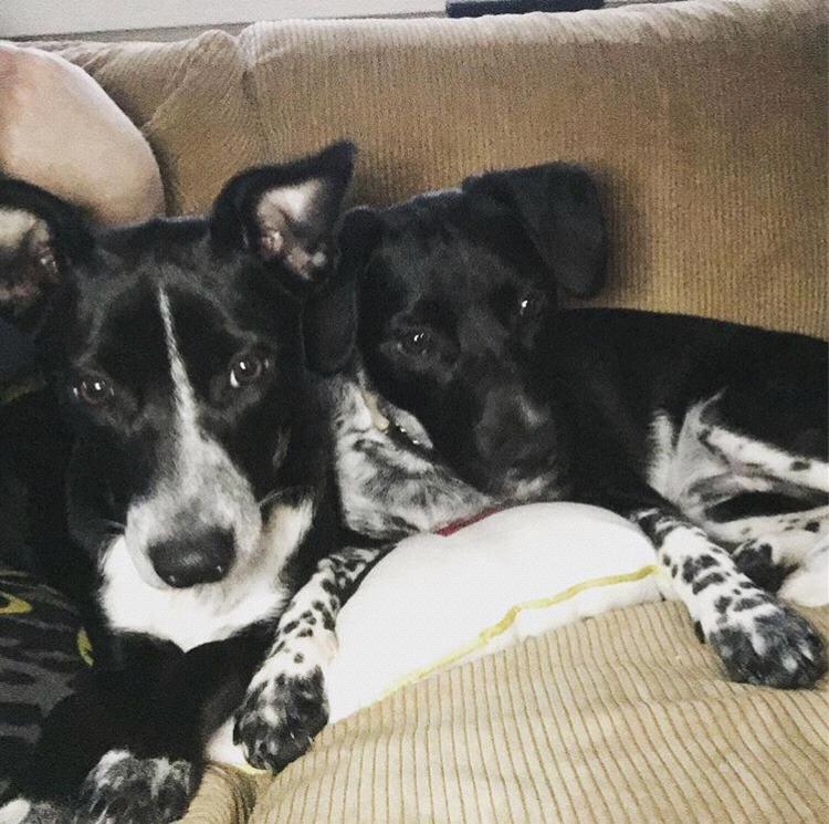 The real loves of our lives