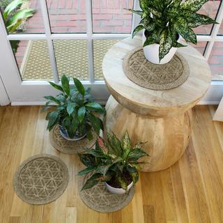 WaterHog Flower of Life Indoor/Outdoor Plant Trivet, Set of 4