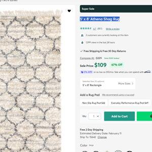 5' x 8' Athena Shag Rug Beige