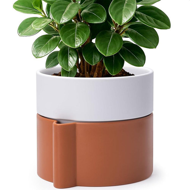 8 Inch Self-Watering Planter Pot with Terracotta Insert, Deep Water Reservoir, and Ceramic-Alike BPA-Free Plastic Planter Pot for Plant, Modern Planter for Houseplants, Terracotta/White, 53-B-T-6