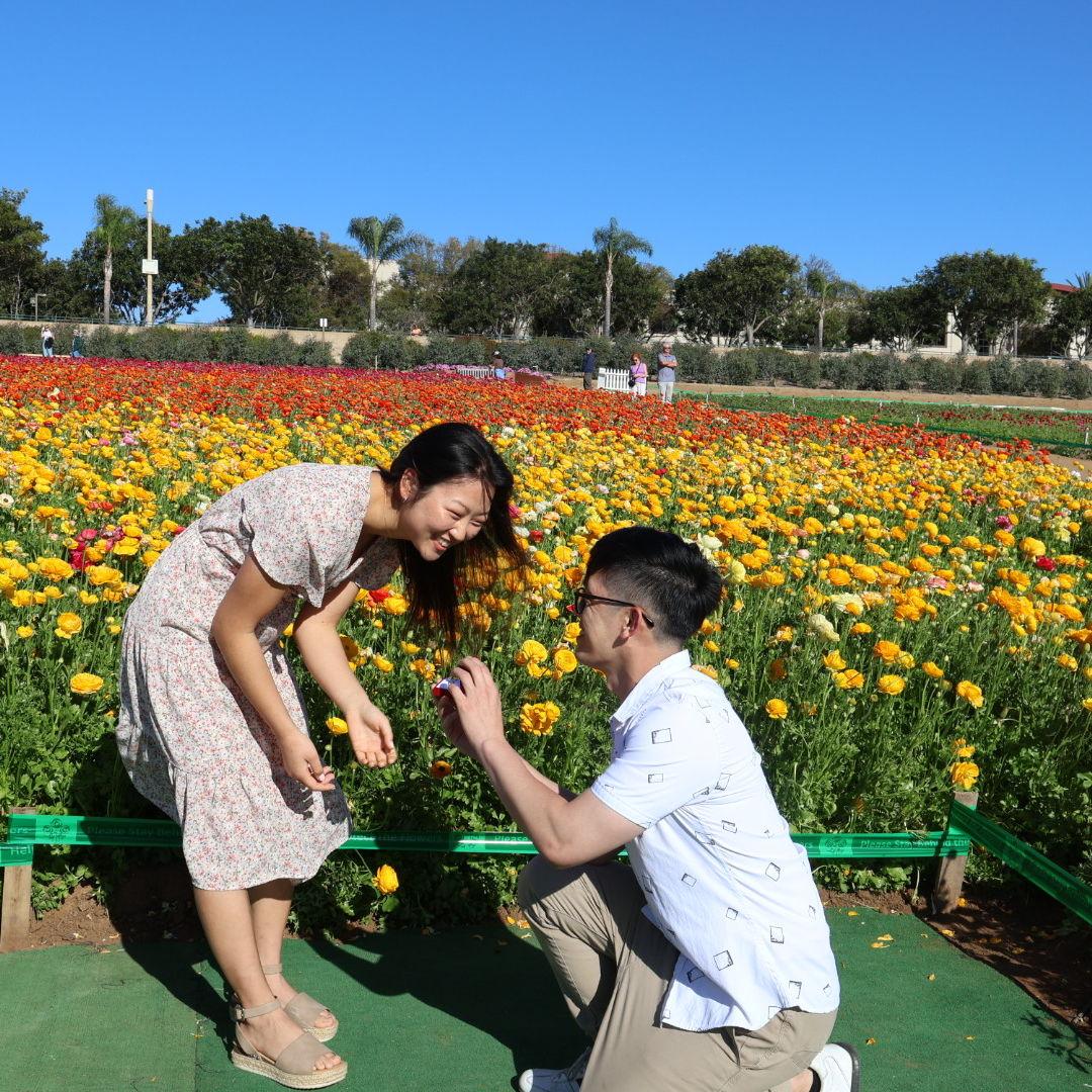 Will you marry me? ❤️