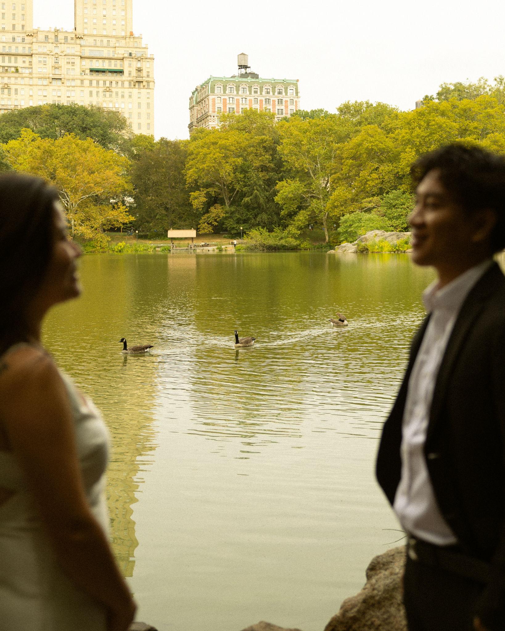 12f8085b-f0da-42c1-8018-35760b2d024d