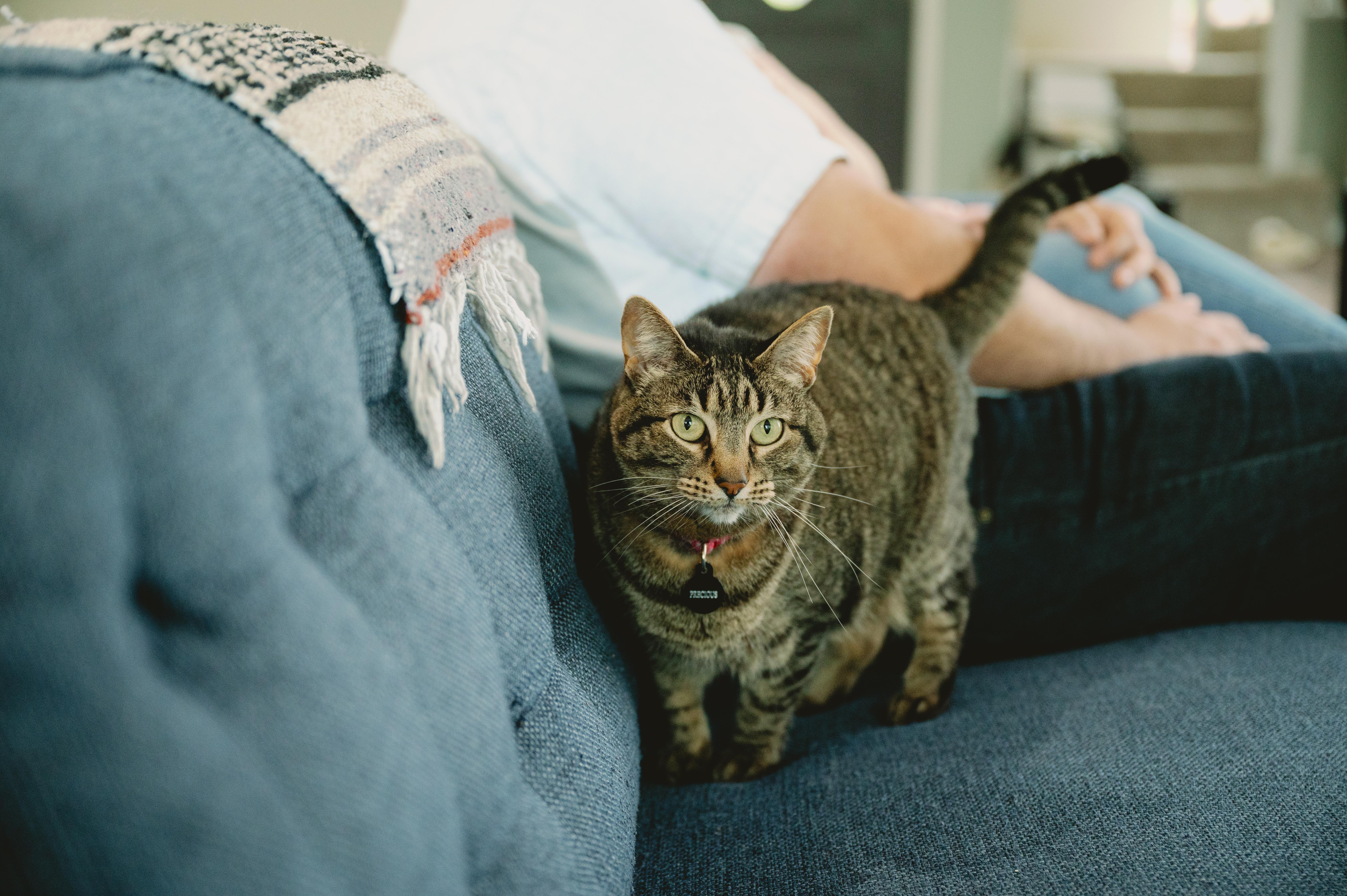 The Wedding Website of Amanda Tribble and Greg Yovetich