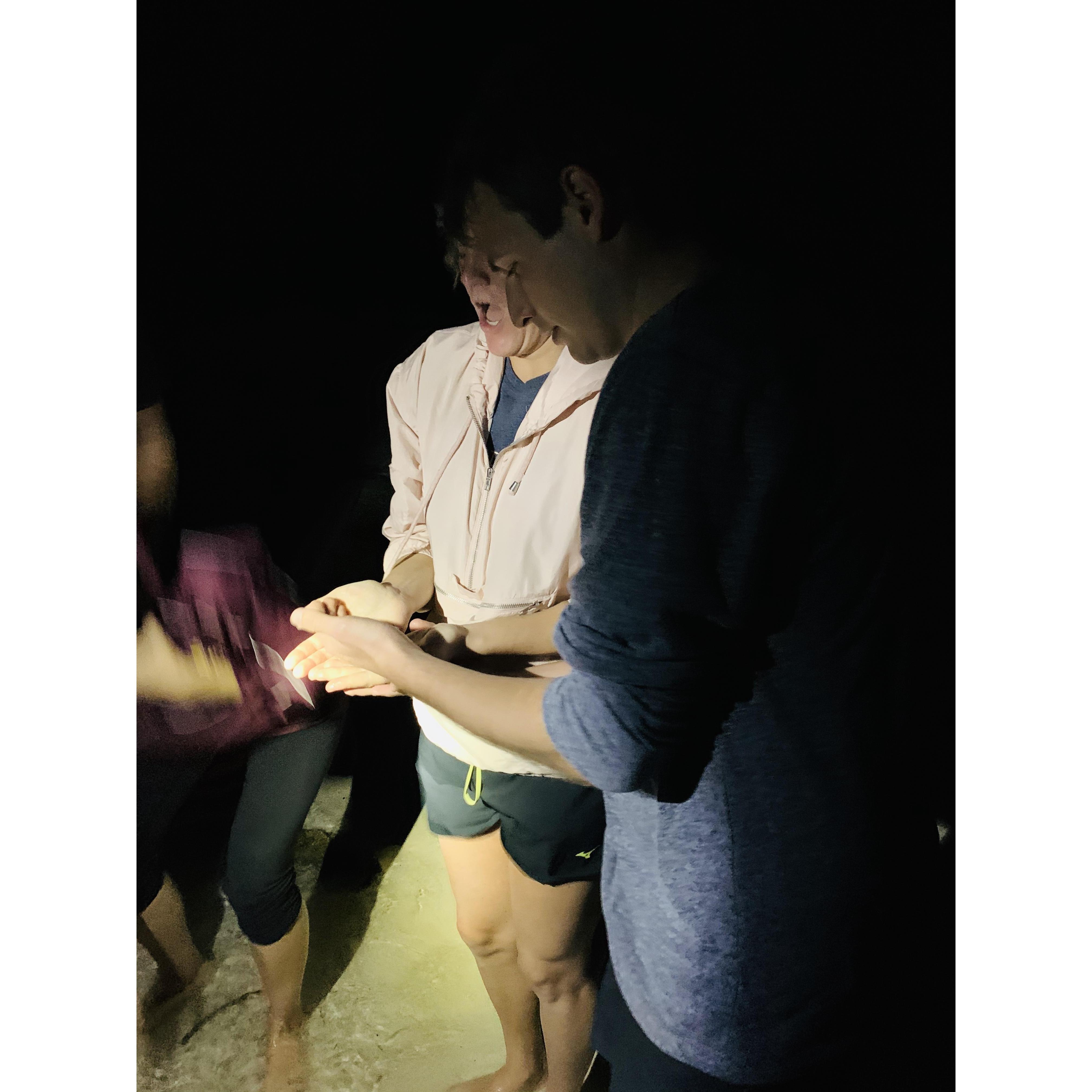 More sea creatures at bioluminescent bay