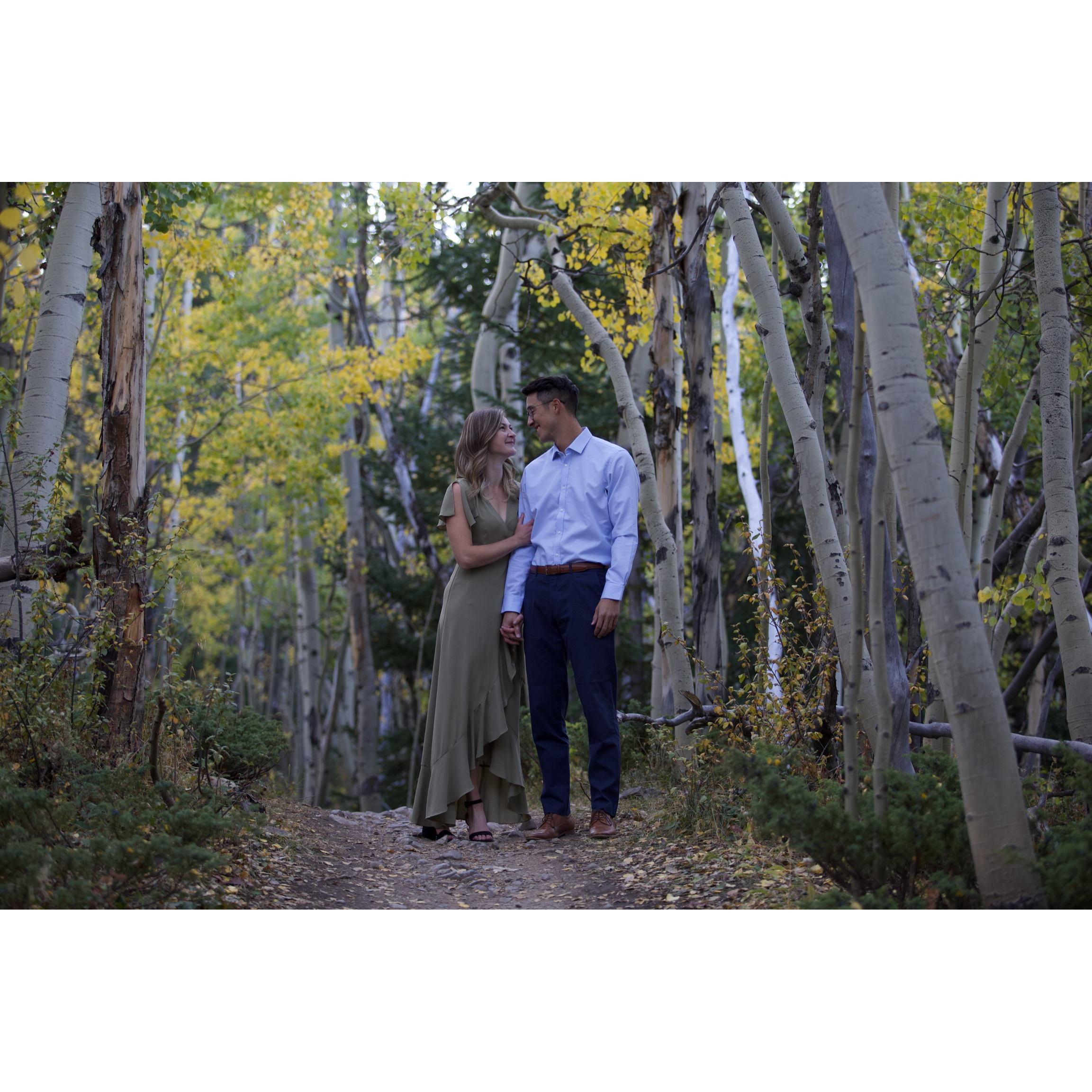 Engagement photos at Aspen Alley in Breckenridge