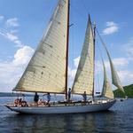 Sail True Love