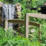 Oaks Miniature Golf LLC