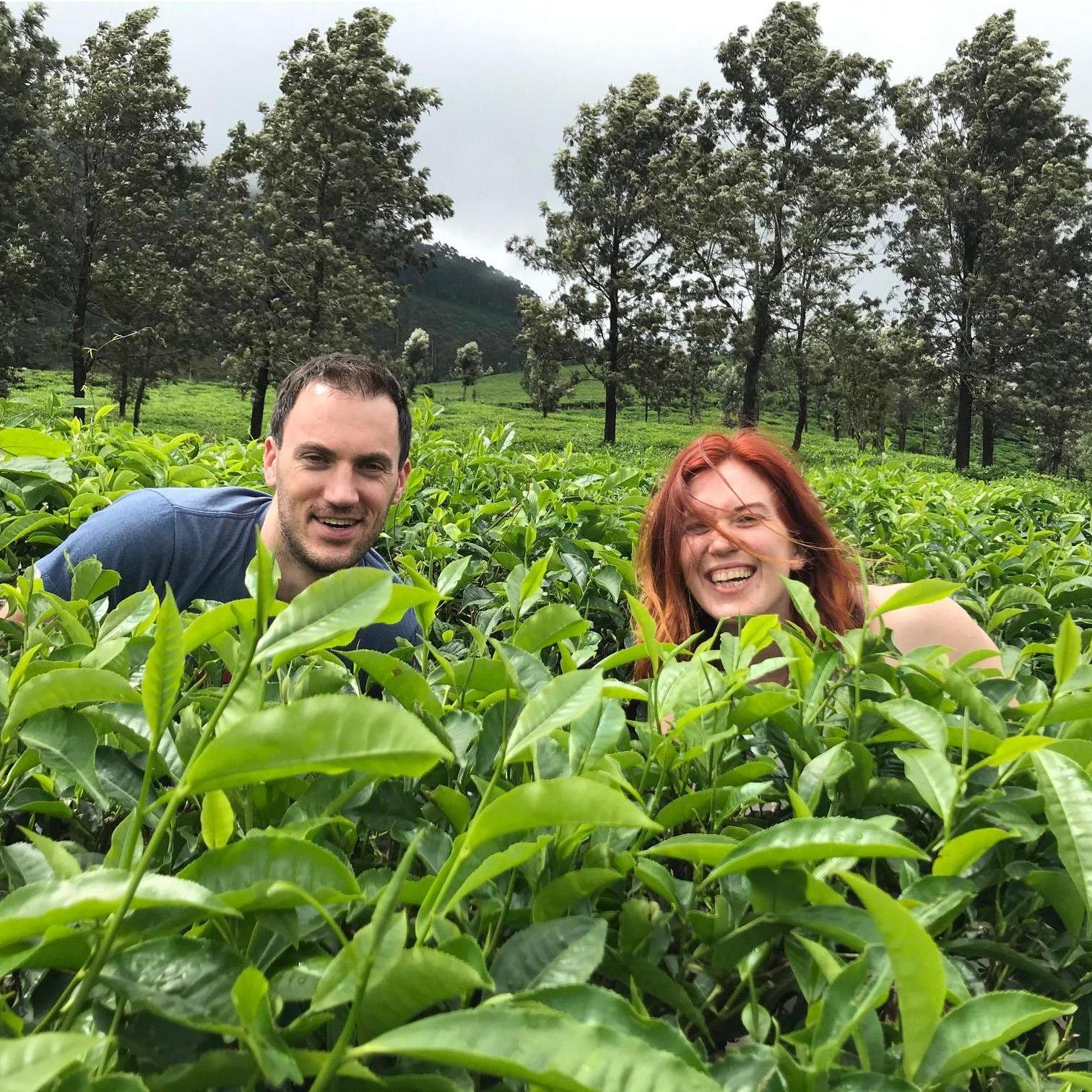Creepin' in the tea plantation