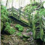 Rock Bridge State Park