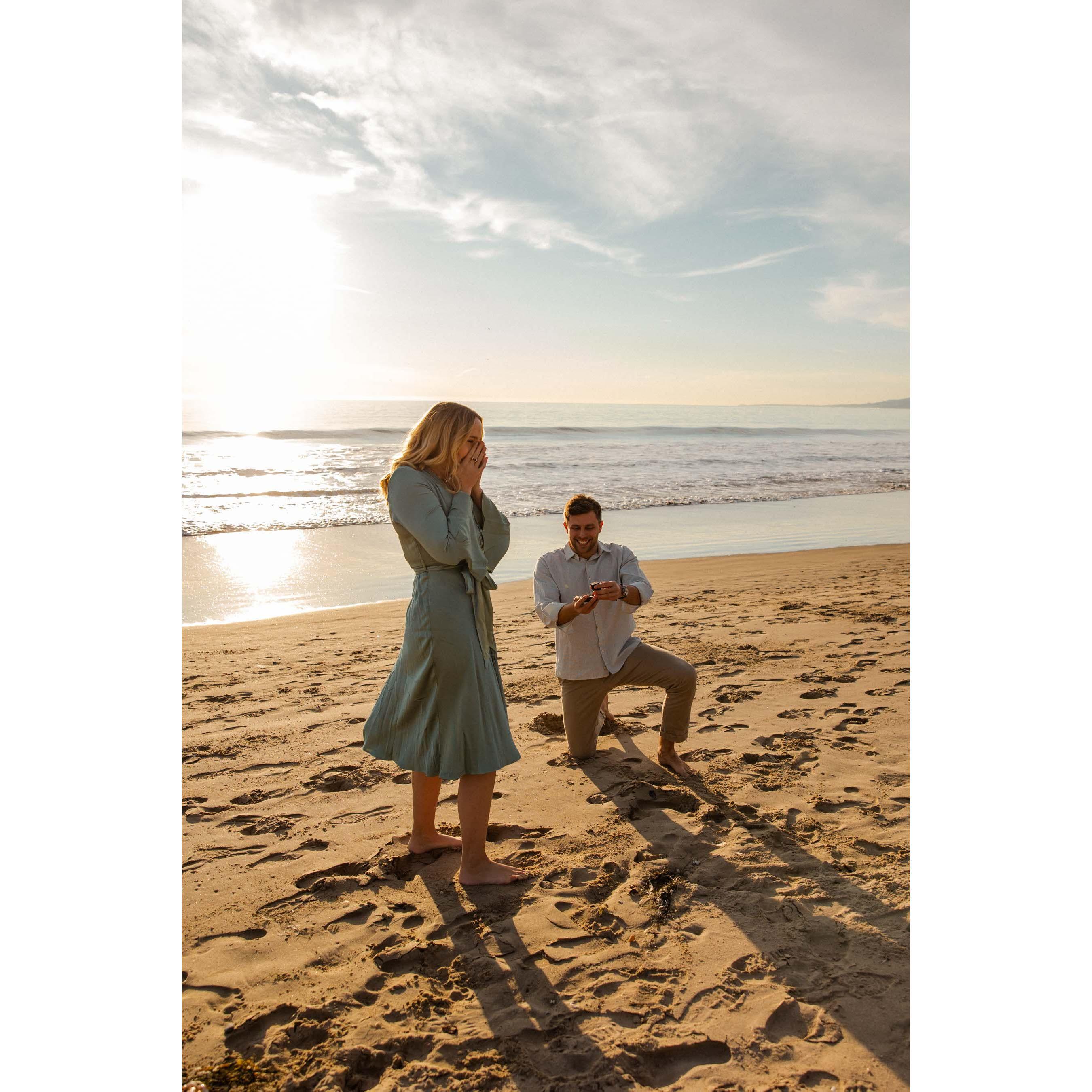 "Holiday Card Photoshoot" turned to surprise engagement!

Photo by Alison Carol