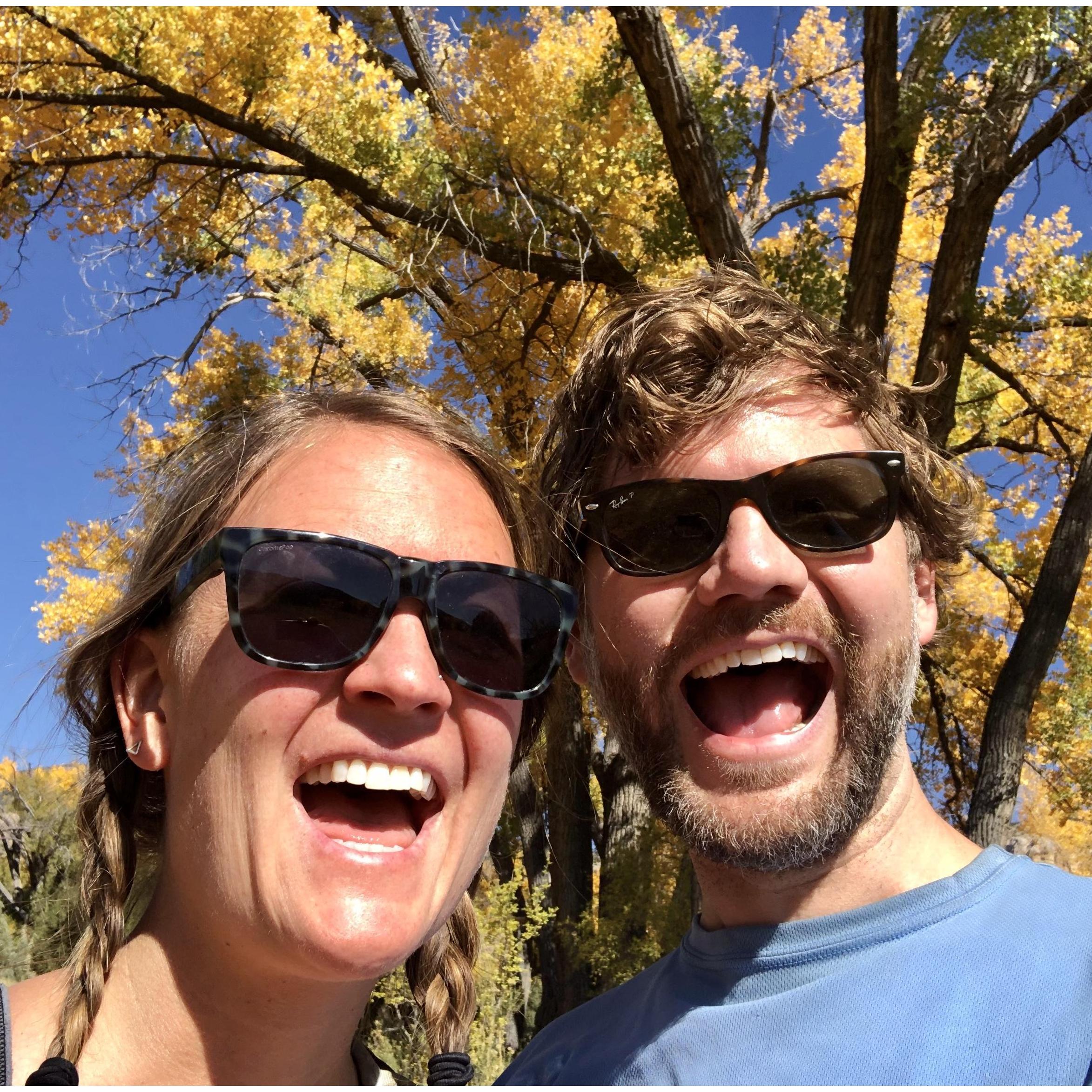 Cottonwoods at the Chama River.