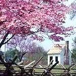 George Washington's Ferry Farm