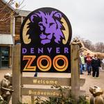 Denver Zoo