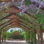 ABQ BioPark - Botanic Garden