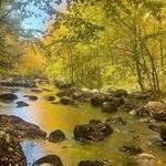 Litchfield Land Trust