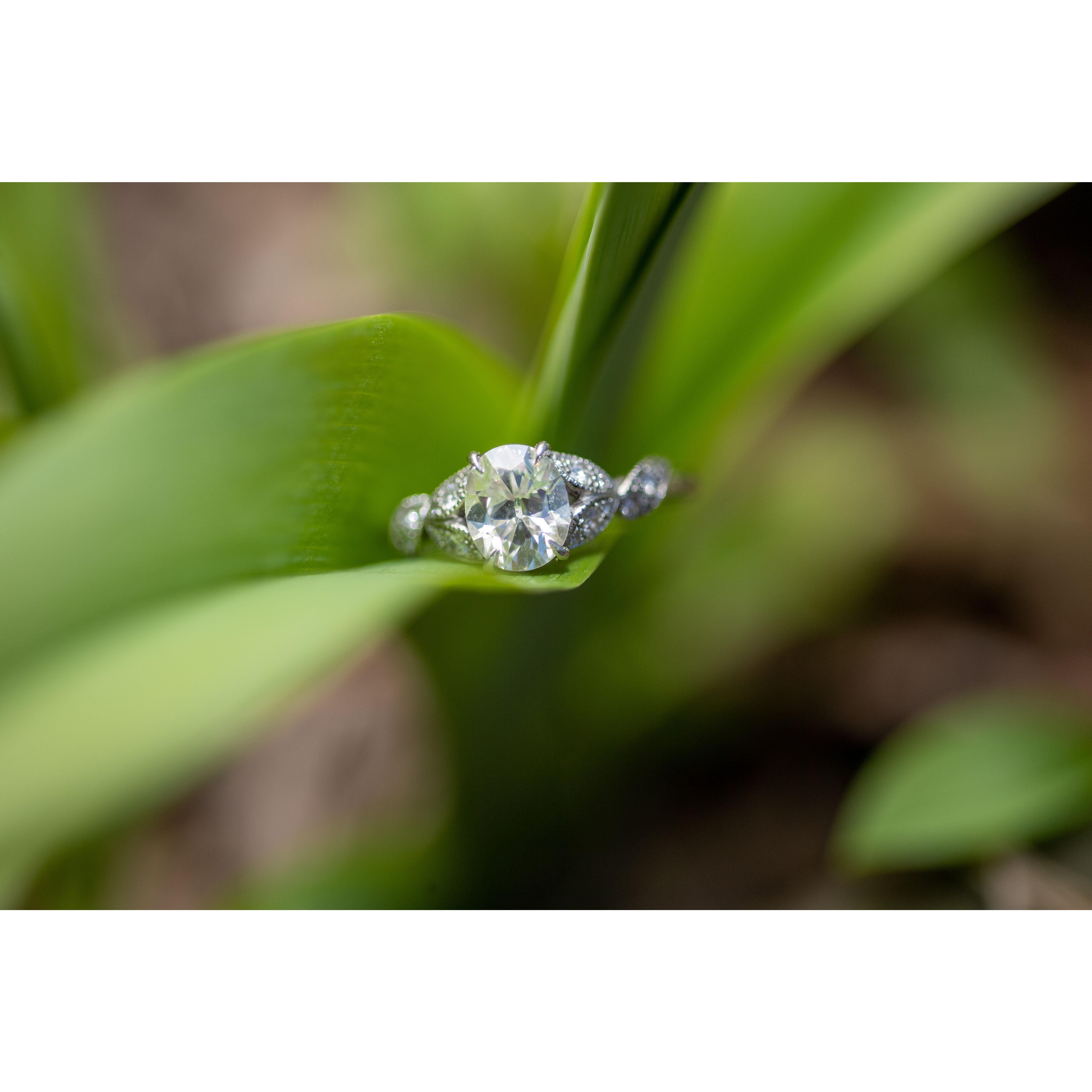 Krystine's engagement ring.