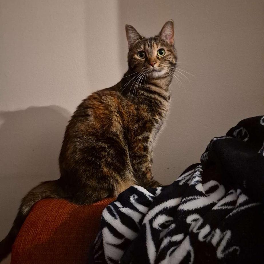 Minnie