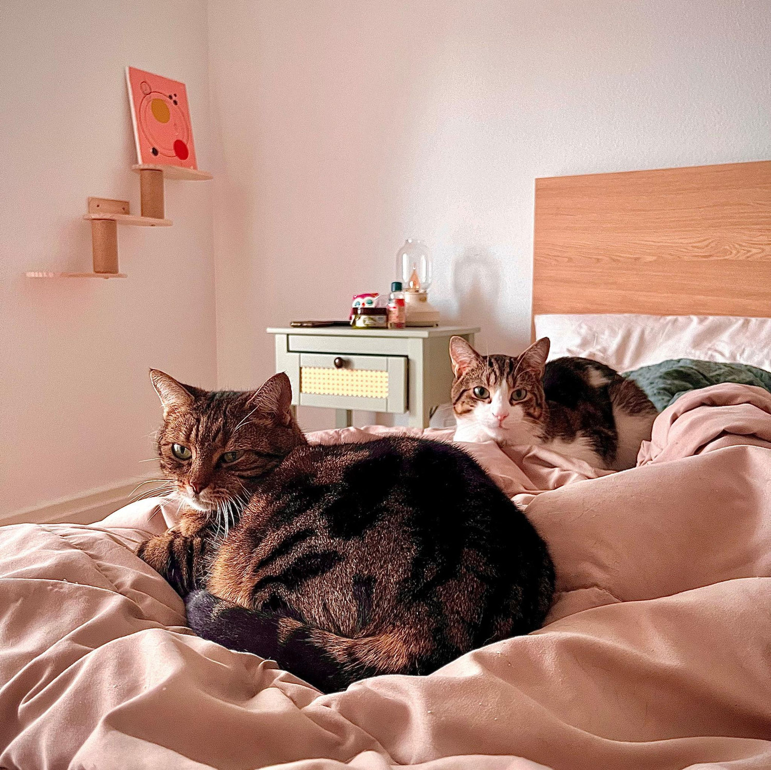 Geschenke sind nicht erforderlich. Wie ihr wisst, haben das Brautpaar ein großes Herz für Tiere. Wer möchte, kann während unserer Hochzeit für die GRUMAPA, eine lokale Tierschutzorganisation, spenden.