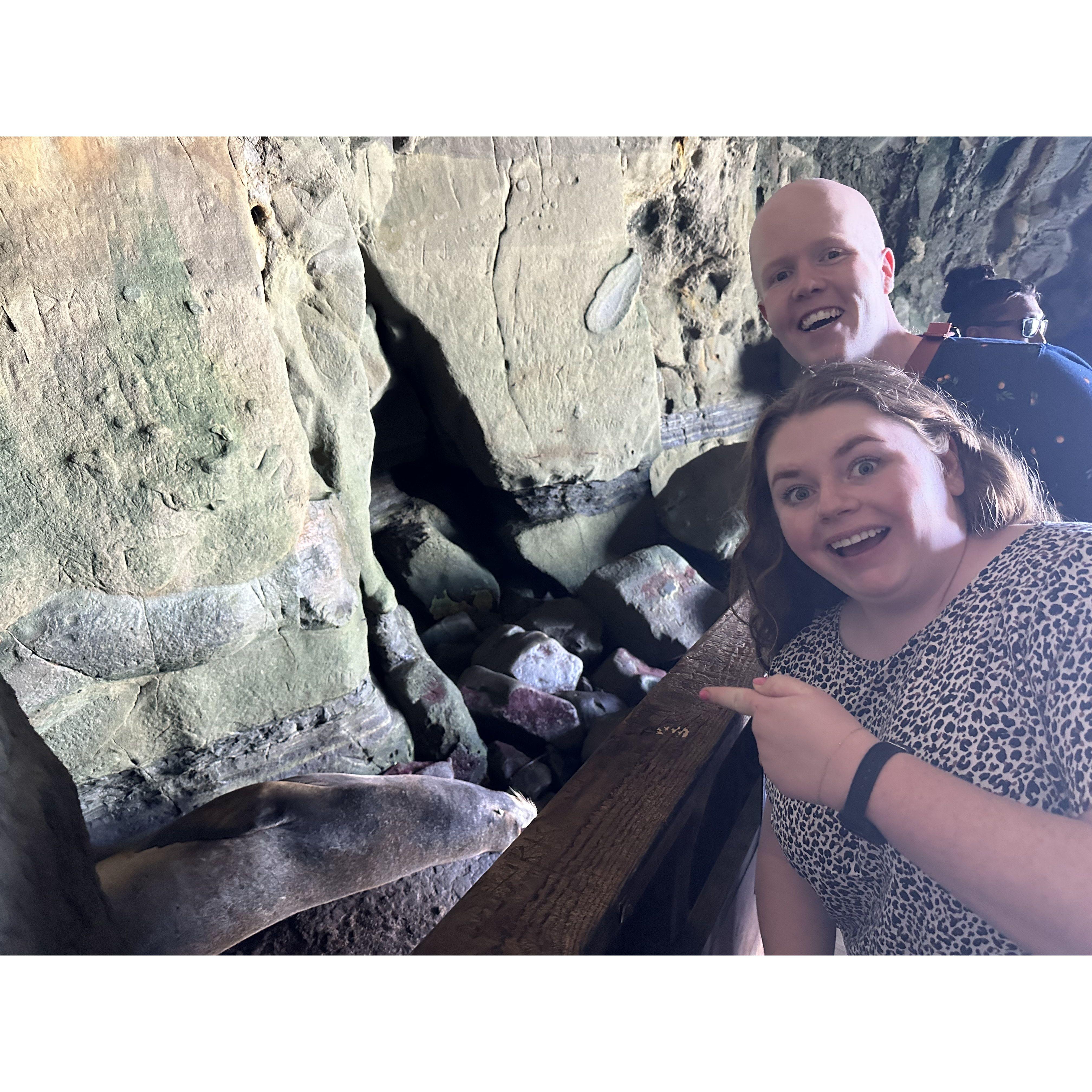 Sea Lion cave in San Diego in Sept 2023
